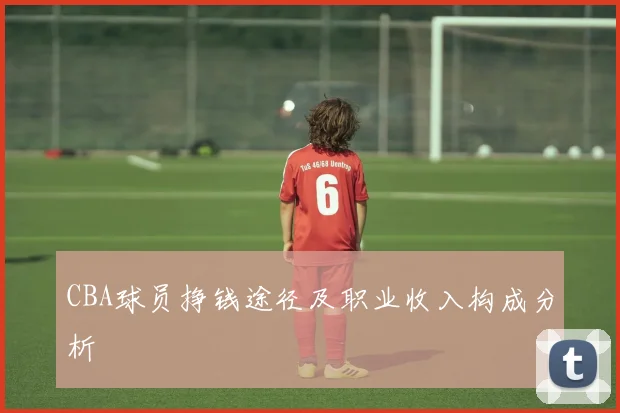 CBA球员挣钱途径及职业收入构成分析