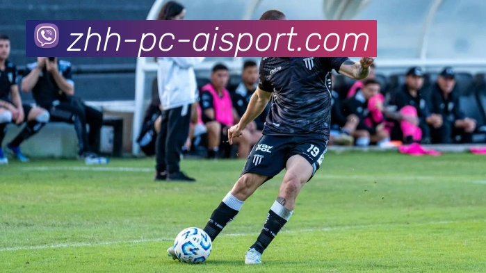 爱体育平台生态图