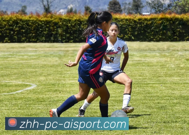 爱体育APP 封面图